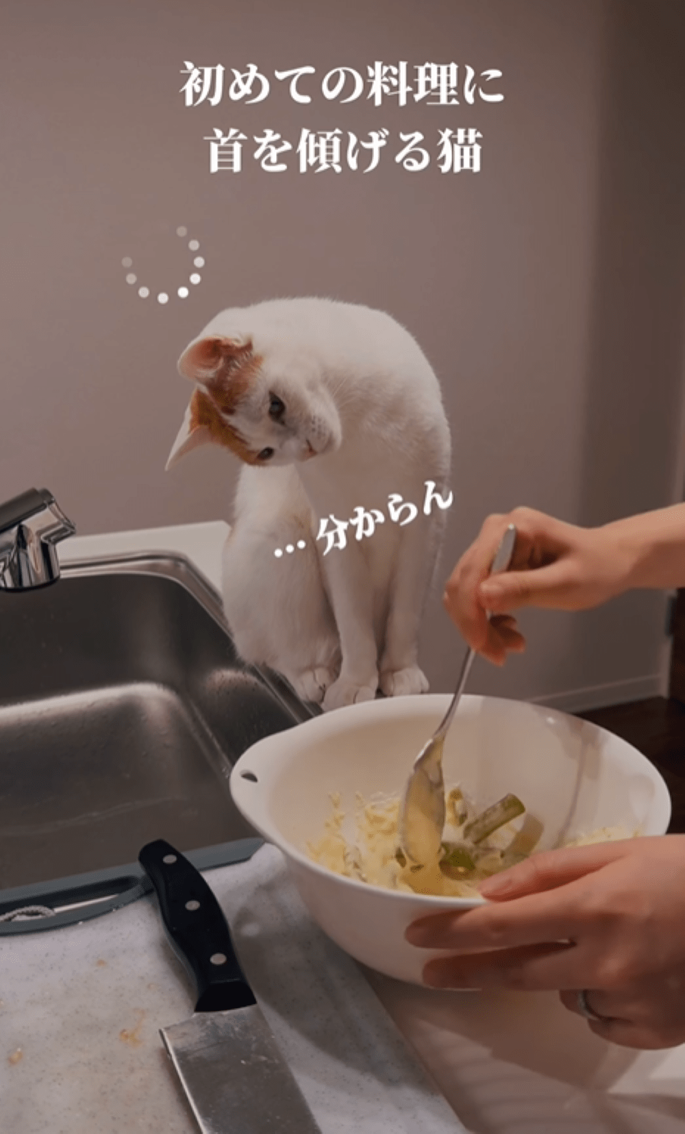 ケーキ作り中、隣に違和感。しかし、様子を見てみると「どちらがケーキですか」「うわぁ～可愛い！」