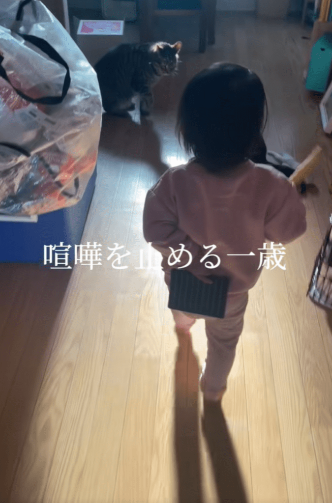 喧嘩を止める娘さん①（＠tokidoki.otonさんより提供）