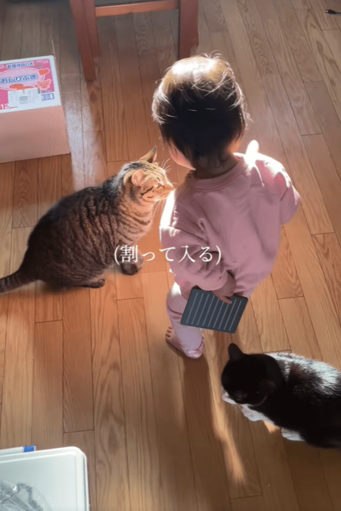 喧嘩を止める娘さん③（＠tokidoki.otonさんより提供）