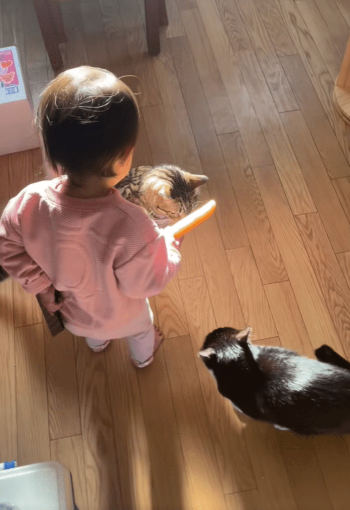 喧嘩を止める娘さん④（＠tokidoki.otonさんより提供）