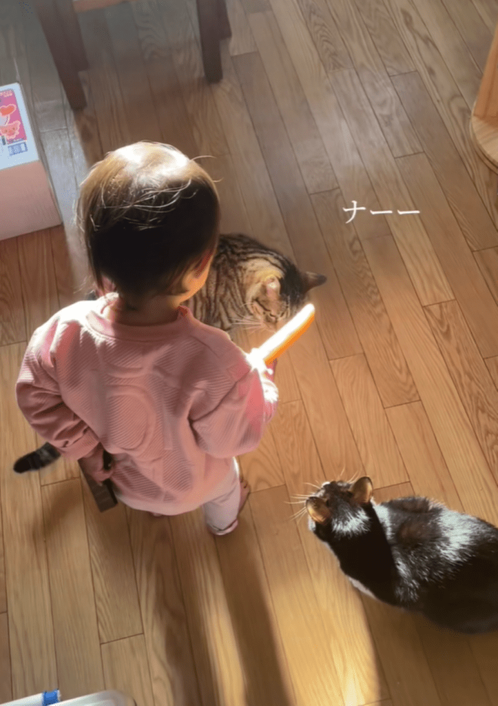 喧嘩を止める娘さん⑥（＠tokidoki.otonさんより提供）