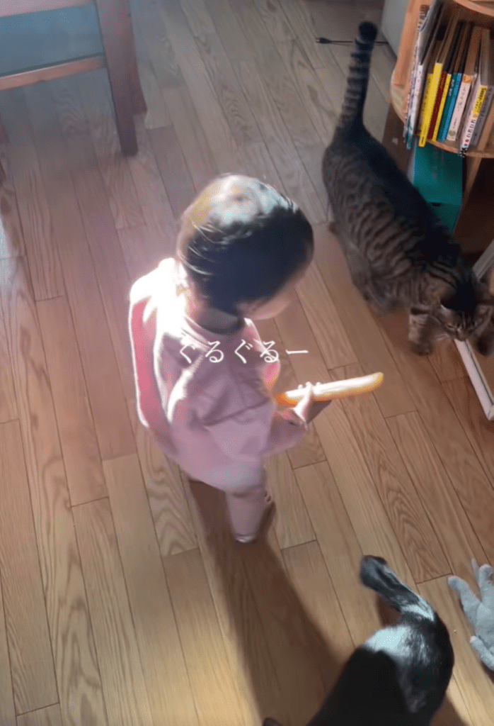 喧嘩を止める娘さん⑧（＠tokidoki.otonさんより提供）