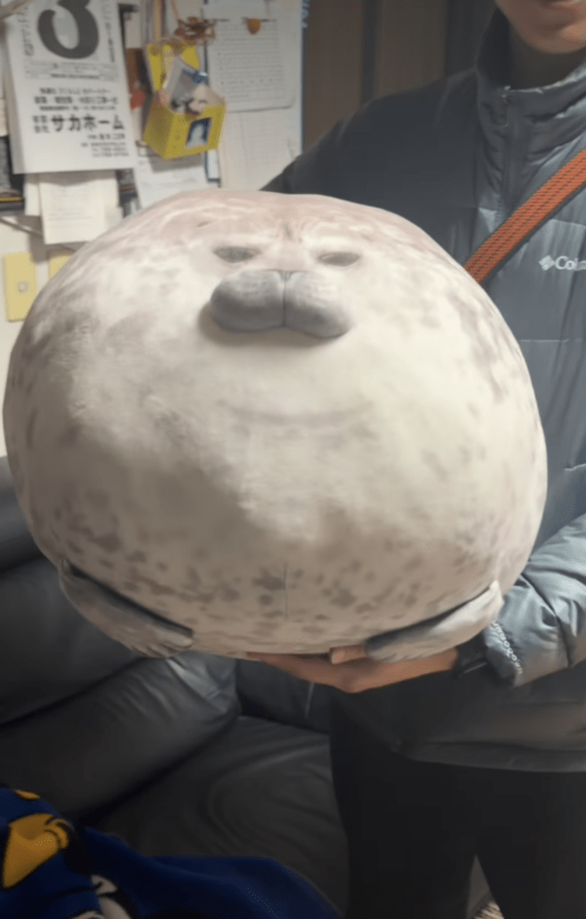 綿詰め後の様子①（＠hotatenoie248さんより提供）