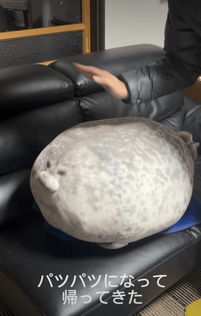 綿詰め後の様子②（＠hotatenoie248さんより提供）