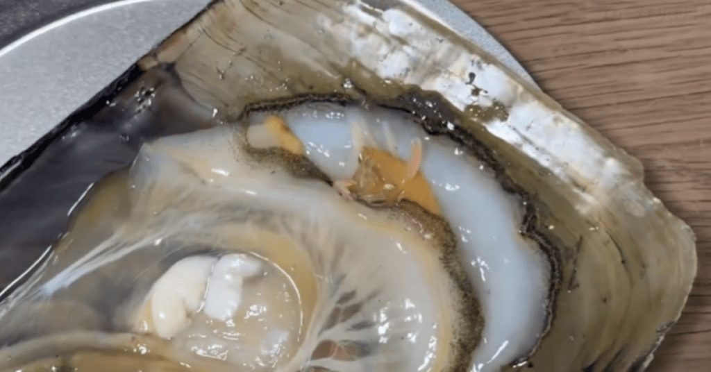 貝に挟まるえび①（＠shimofuriichiboさんより提供）