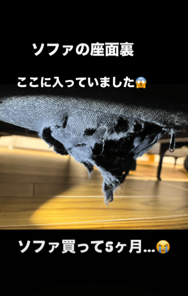 その後の様子②（＠halo._.0602さんより提供）