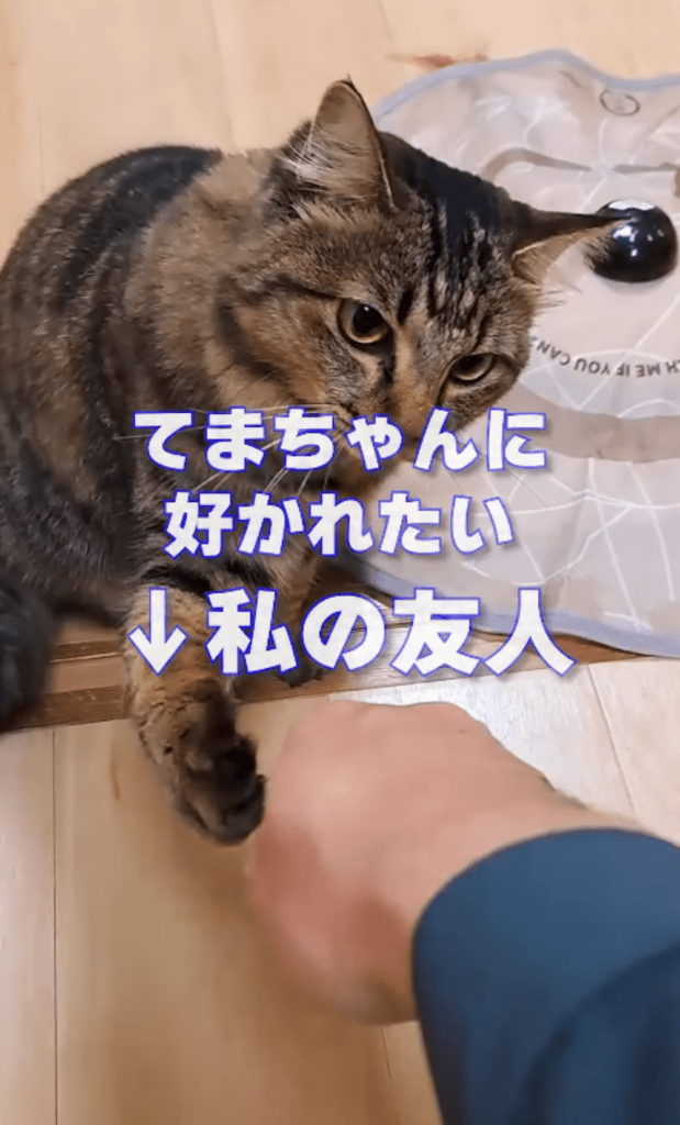 前回①（＠temae.chanさんより提供）