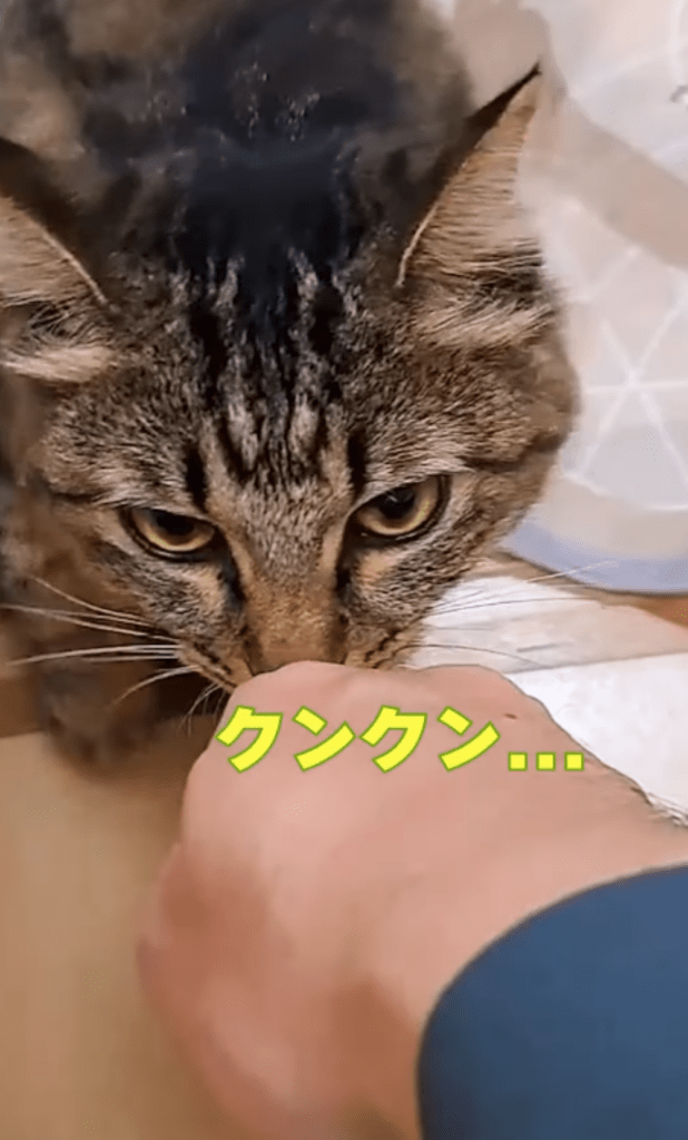 前回②（＠temae.chanさんより提供）