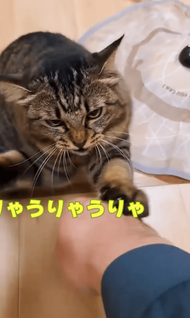 前回④（＠temae.chanさんより提供）