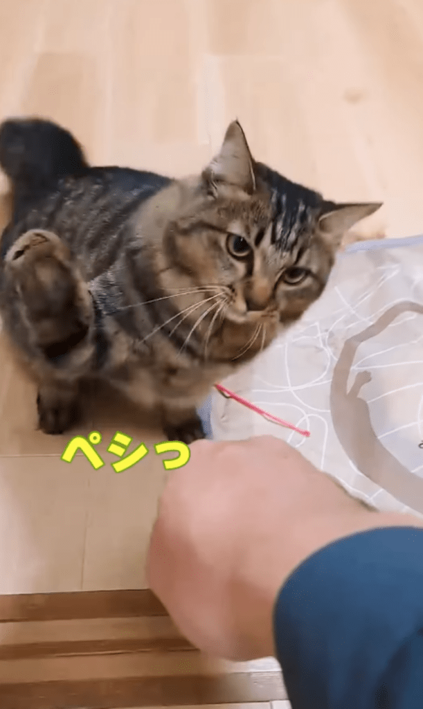 前回⑥（＠temae.chanさんより提供）