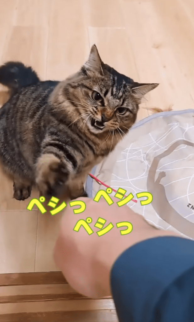 前回⑦（＠temae.chanさんより提供）