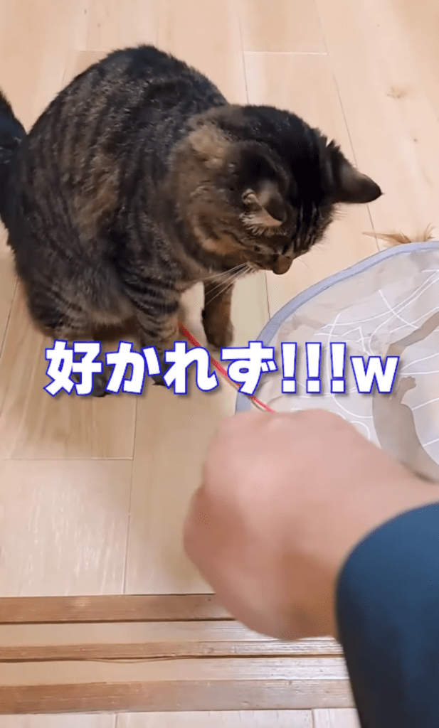 前回⑨（＠temae.chanさんより提供）