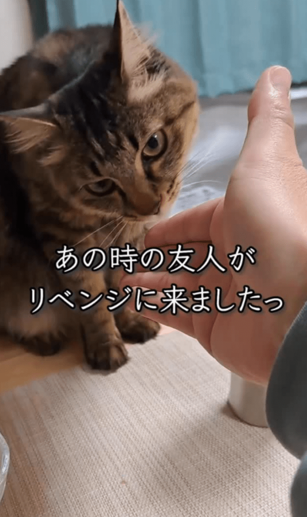 今回①（＠temae.chanさんより提供）