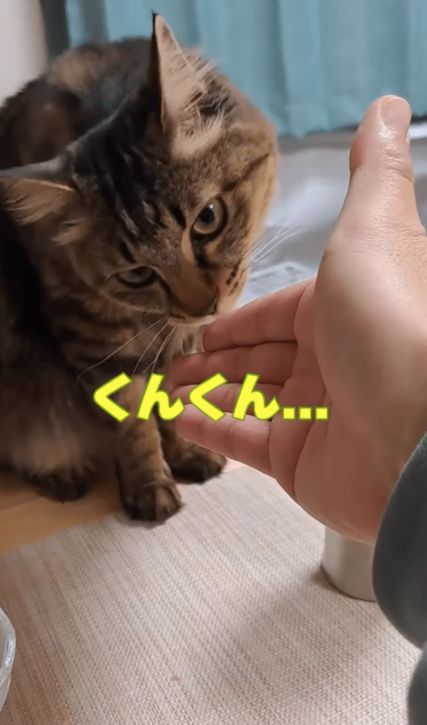 今回⑤（＠temae.chanさんより提供）