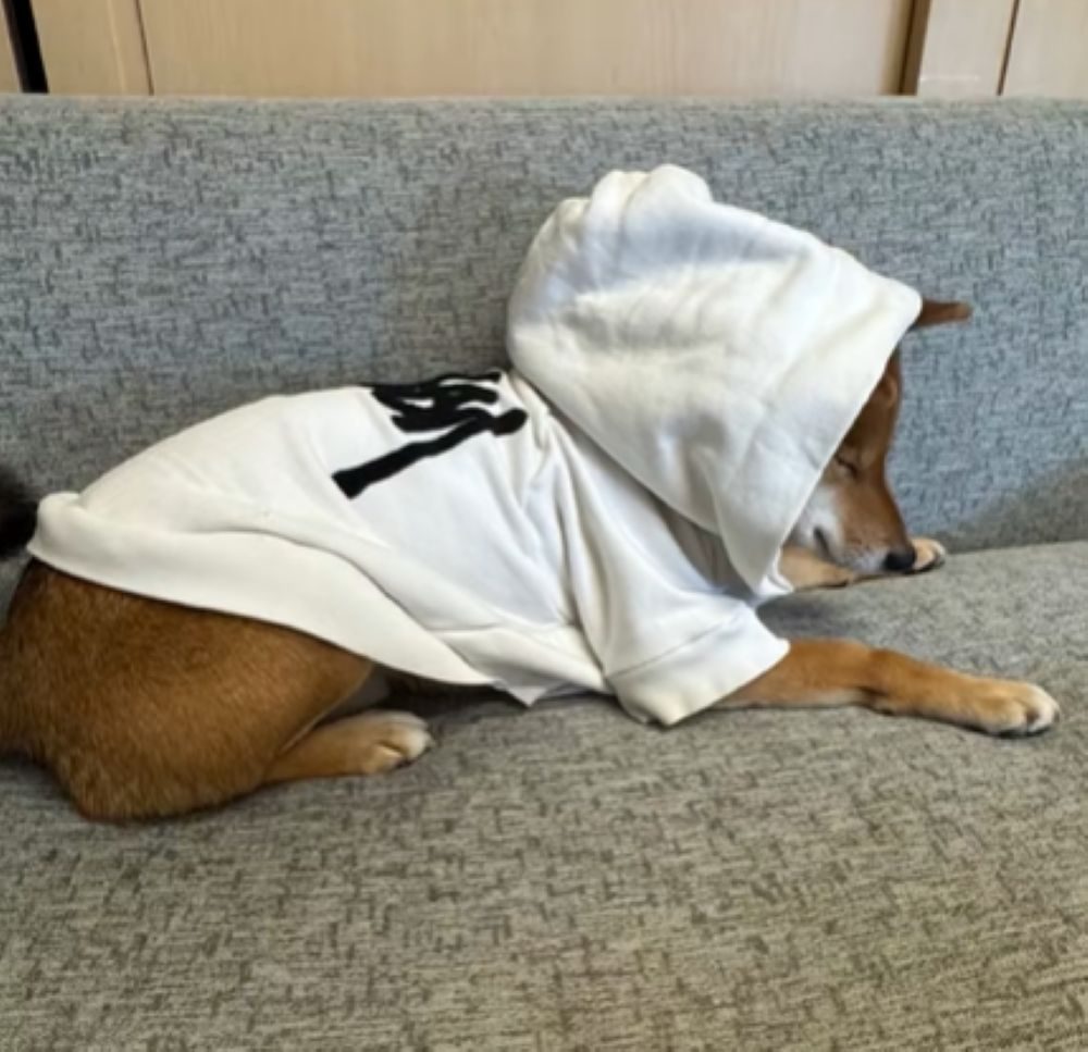 こた君の洋服作り⑤（＠kotatok_1204さんより提供）