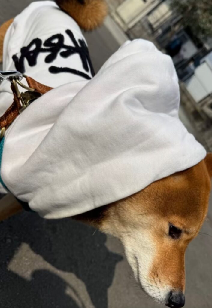 こた君の洋服作り⑦（＠kotatok_1204さんより提供）