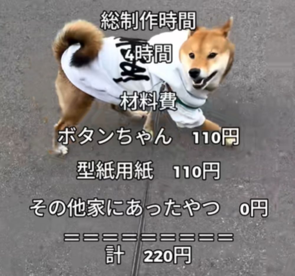 こた君の洋服作り⑧（＠kotatok_1204さんより提供）