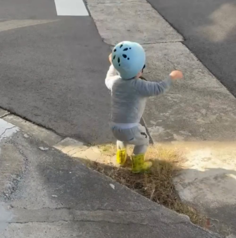 普段の様子②（＠y.y.k.0310さんより提供）