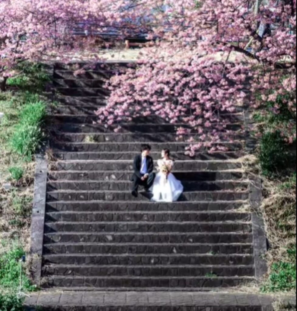 写真を撮るために…⑥（＠sara2626_ifさんより提供）