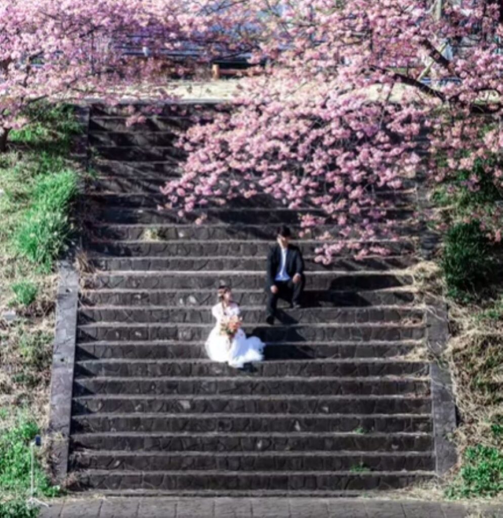 写真を撮るために…⑦（＠sara2626_ifさんより提供）