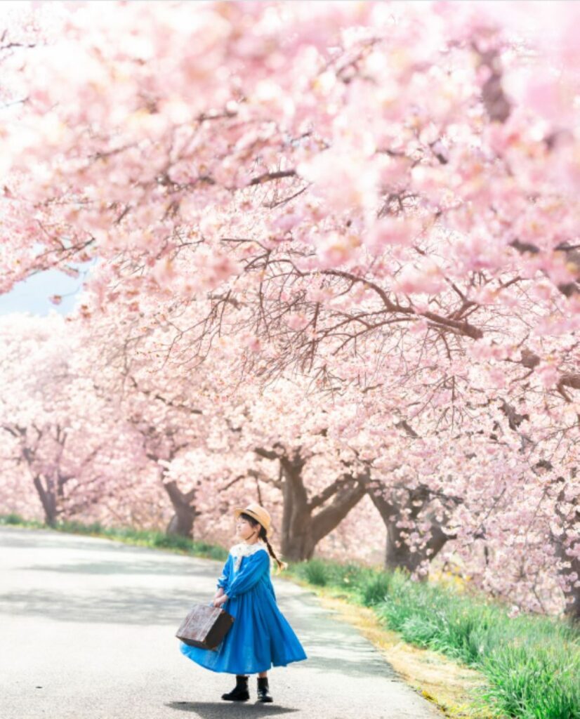 娘さん①（＠____a_suさんより提供）