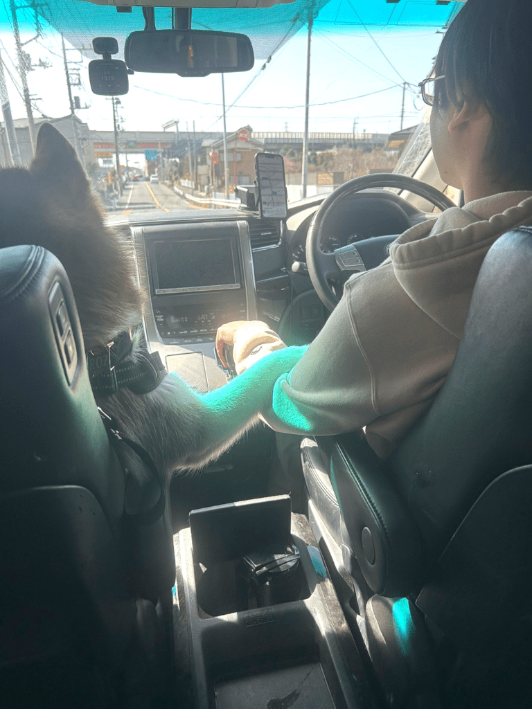 【実際の画像】　投稿された光景