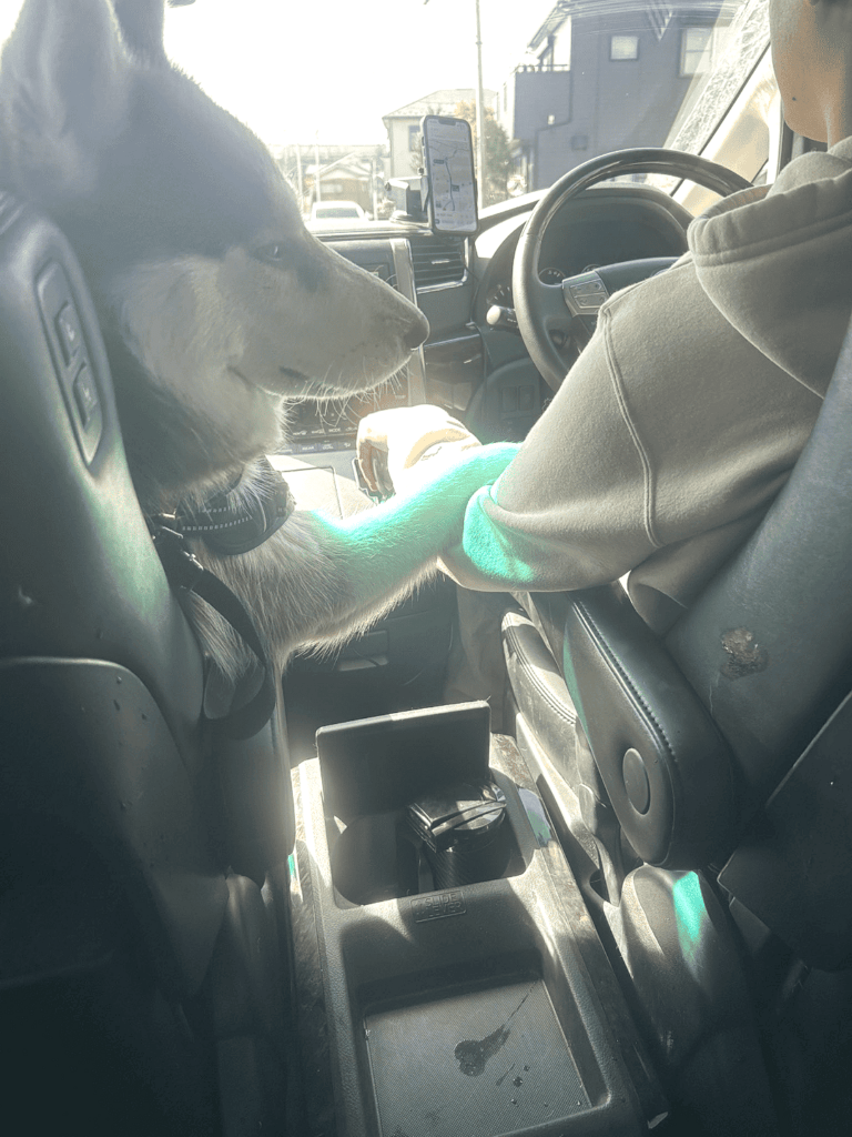 助手席に座るロズくん②（@remchan_0215さんより提供）