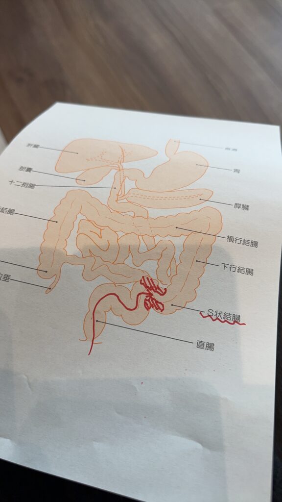 残すことについて考えた記録 ①（＠film_by_monaさんより提供）