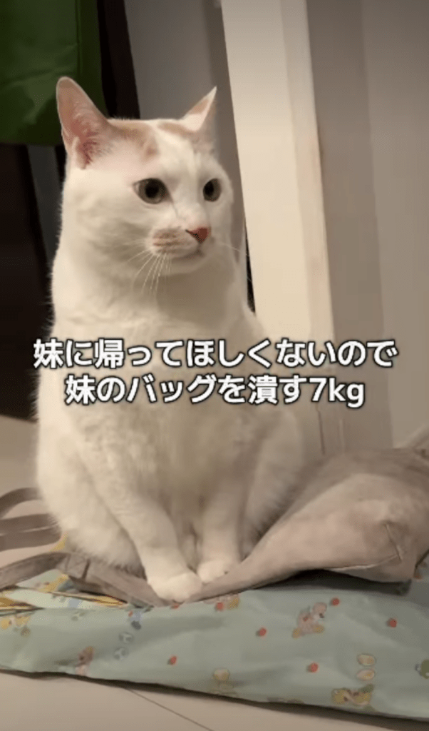 【実際の写真】　投稿された写真