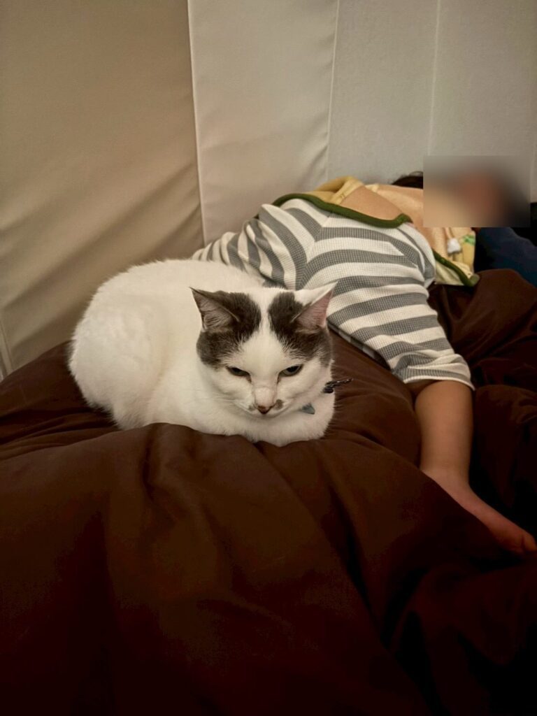 帰宅したママさんが目にした光景②（＠yone_ry_yoneさんより提供）