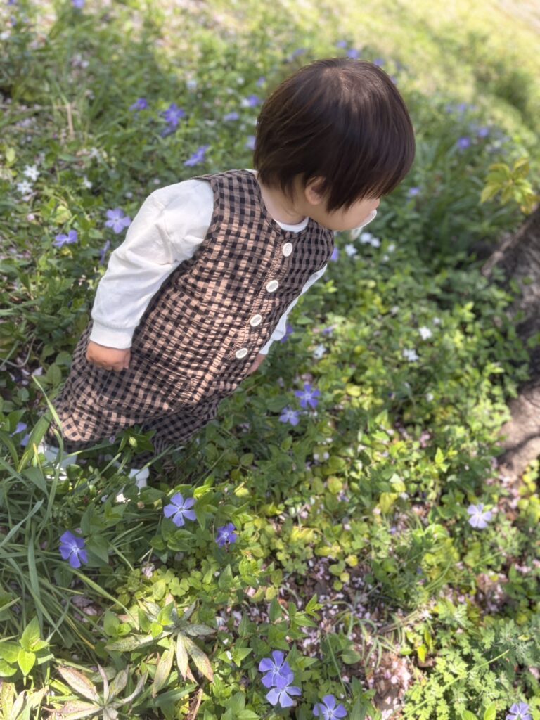 【実際の写真】　母が見た光景