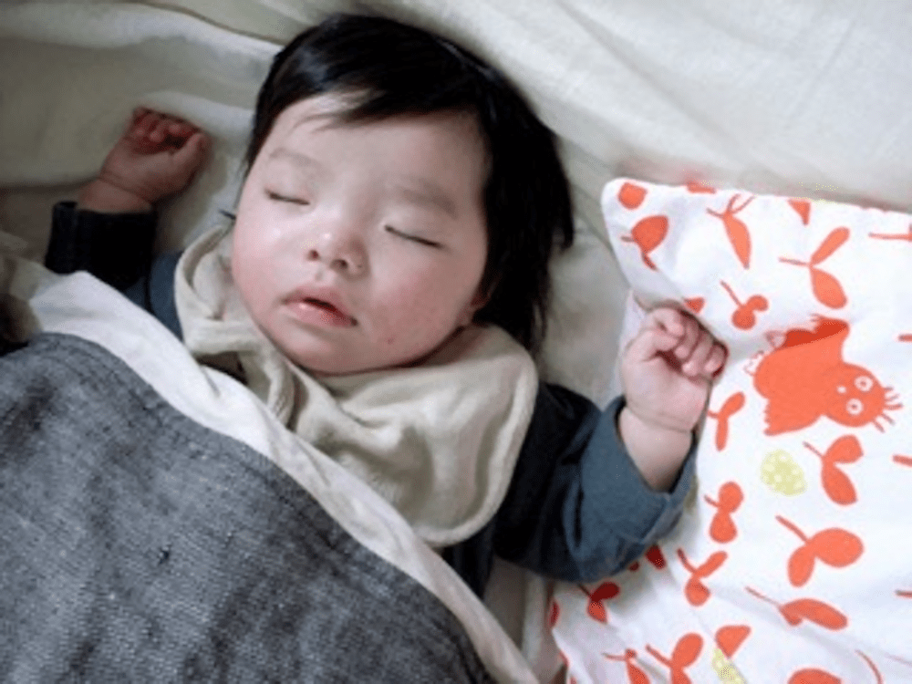 【実際の写真】　現在の様子