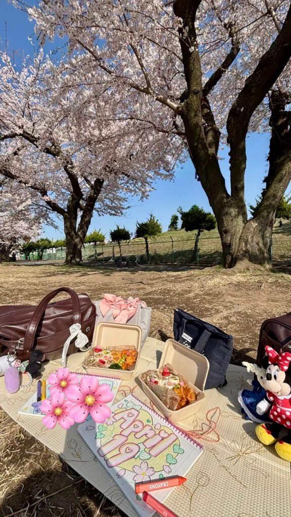現地で撮ったお花見弁当の写真①（＠karupasu.810.2929さんより提供）