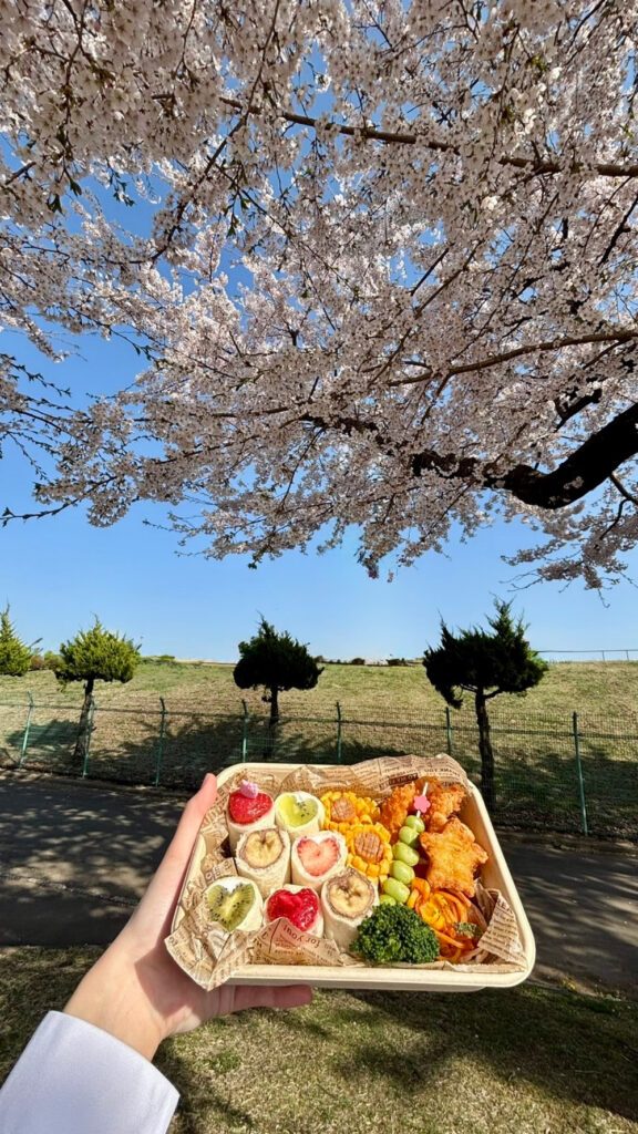現地で撮ったお花見弁当の写真②（＠karupasu.810.2929さんより提供）