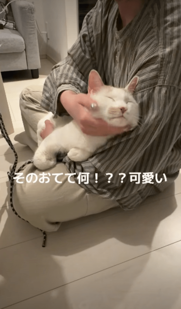 妹さんの膝の上で甘えるシンバくん②（＠debunekokanshiinさんより提供）