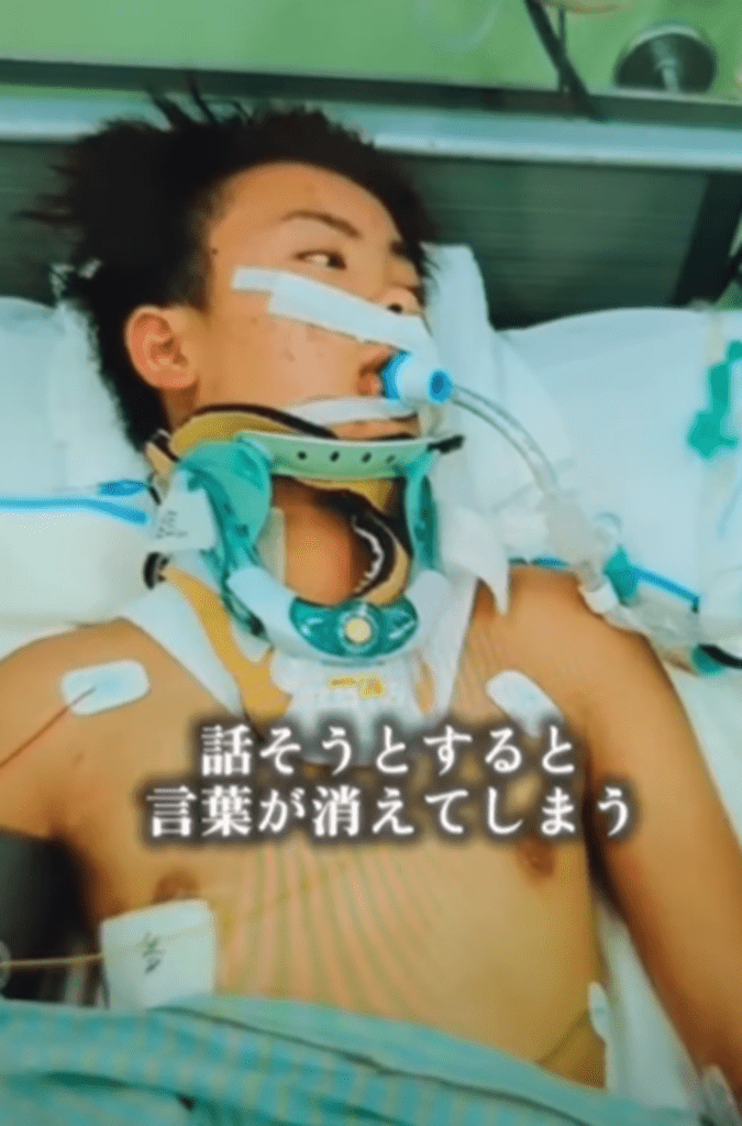 【実際の写真】　　現在の様子
