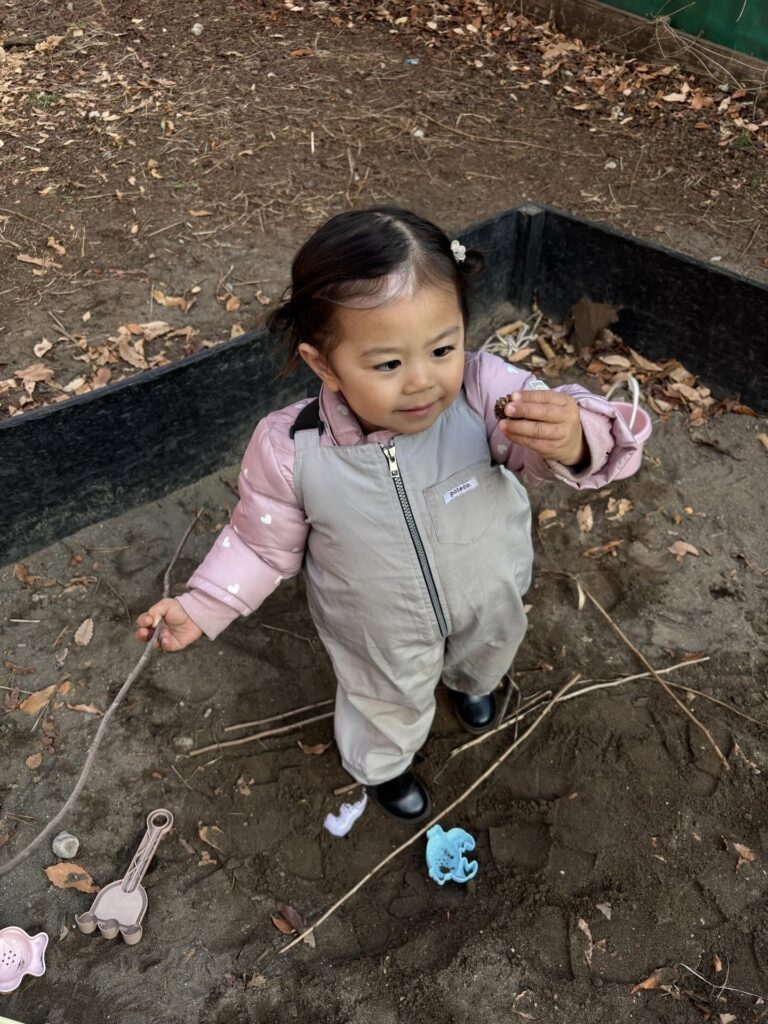 【実際の写真】　妻が見た光景