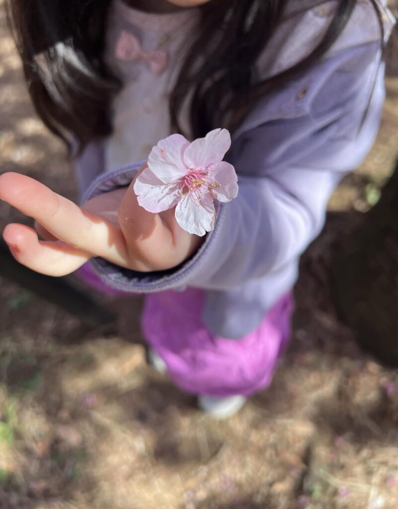 日常の可愛いものを撮影⑤（＠mayumana0117さんより提供）