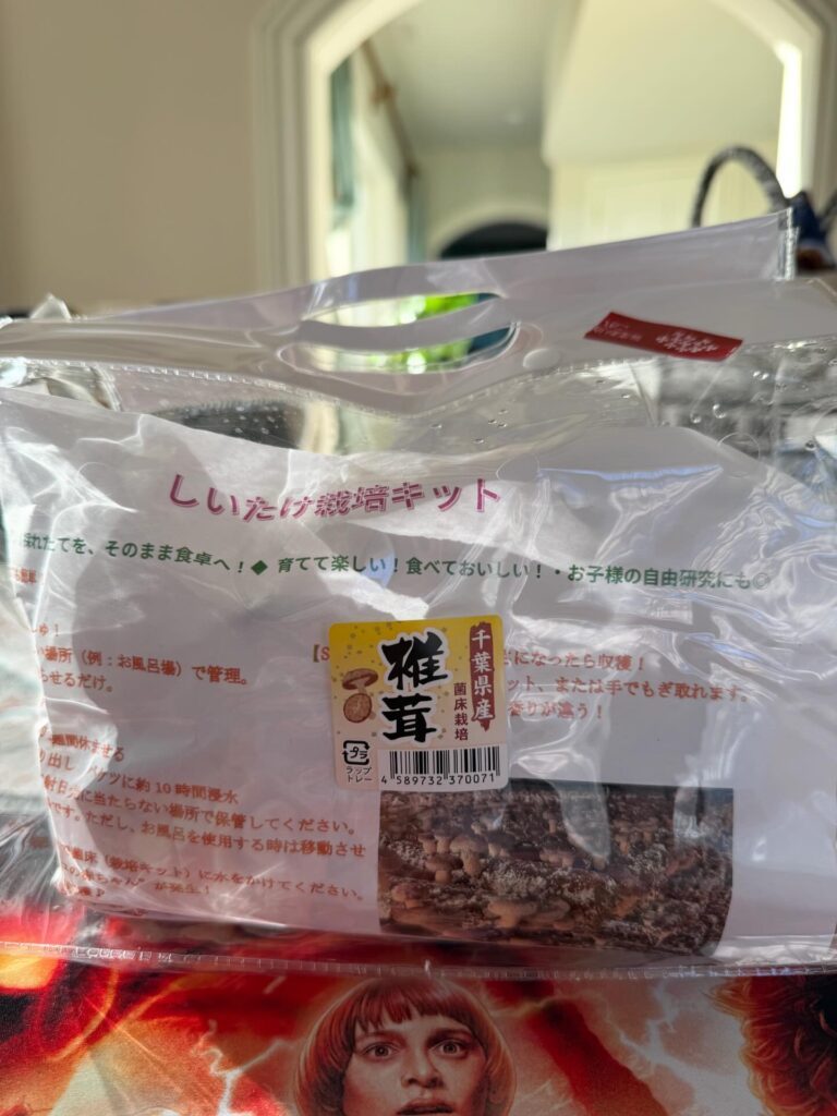 息子さんが買った椎茸キット②（＠k.m4343y.mさんより提供）