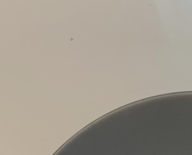 イヤイヤ期の2歳娘「ドーナツ食べたい！」ママが慌てて用意した結果…「いや、それだけ！？」「何が正解なんだ」「発想がすばらしい」