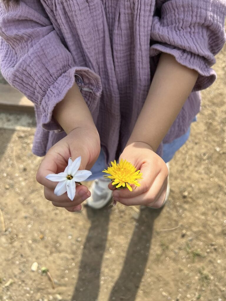 日常の可愛いものを撮影③（＠mayumana0117さんより提供）