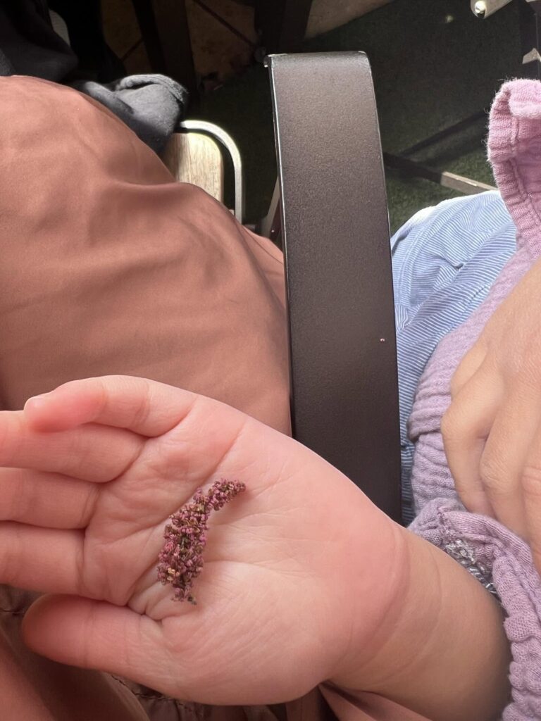 日常の可愛いものを撮影①（＠mayumana0117さんより提供）