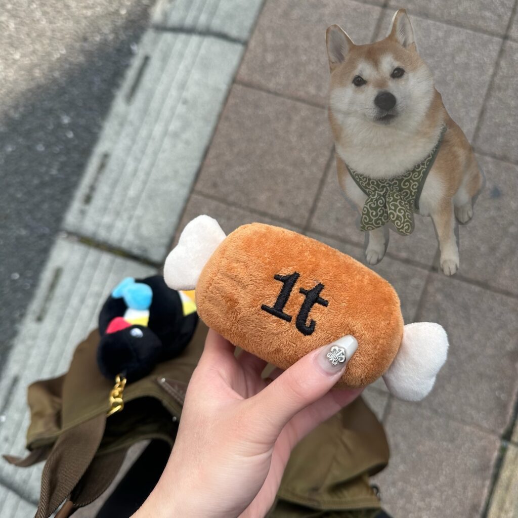 カバンに入っていた愛犬のおもちゃ（＠odentokone0215さんより提供）