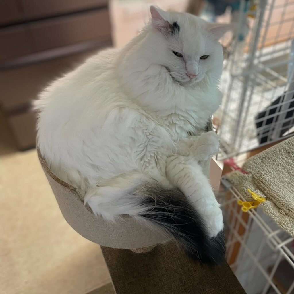 現在の様子①（@couleur.aya.couleurさんより提供）