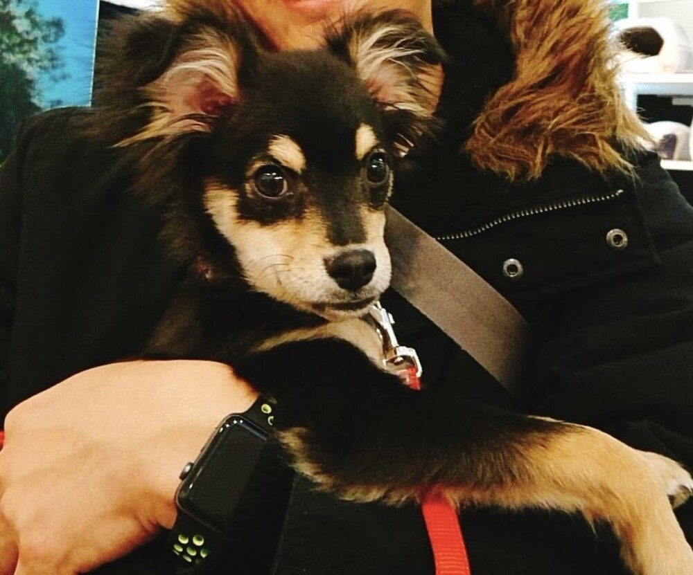 生後5ヶ月の頃①（@chocotychoさんより提供）