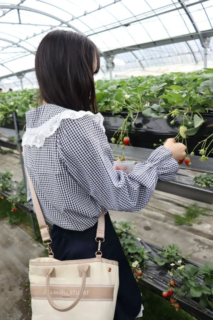 【実際の写真】　母が見た光景