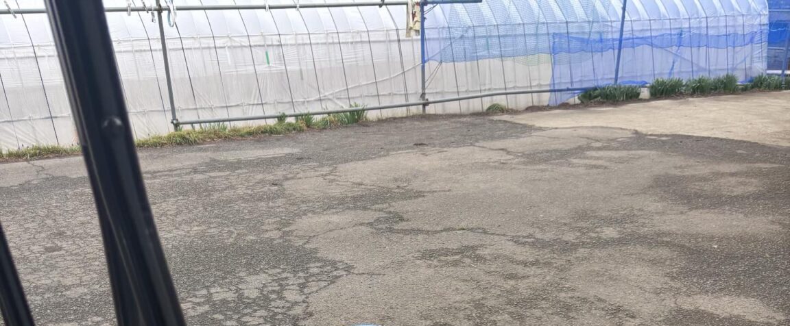 小1息子「サッカーしてくる」母「はーい!」→しかし、静かな外の様子に違和感。 母が外を覗くと…「怖い」「ええ」