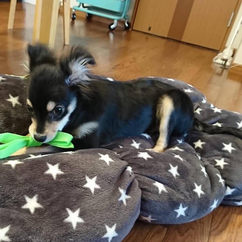 【実際の写真】　現在の様子