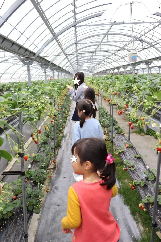 姉妹の様子（＠shi___cyan.kさんより提供）