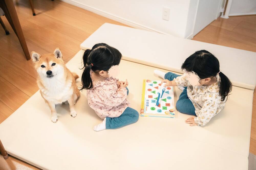 【実際の写真】　母が見た光景